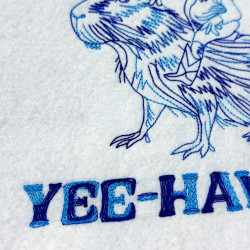 Yee-Haw'tism Frog On Capybara