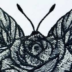 Rose Butterfly