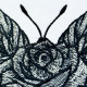 Rose Butterfly Rose Butterfly