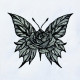 Rose Butterfly Rose Butterfly