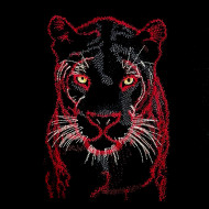 Wild Panther Face