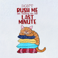 Don't Rush Me Funny Cat Saying