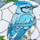 Blue Jay In Nature