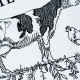 Home Sweet Homestead Cow Quote