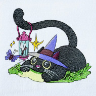 Magical Black Cat With Lantern