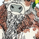 Sunflower Baby Highland Cow Sunflower Baby Highland Cow