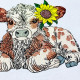Sunflower Baby Highland Cow Sunflower Baby Highland Cow
