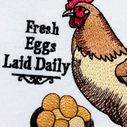 Fresh Eggs Laid Daily Quote - Free in July Value Pack