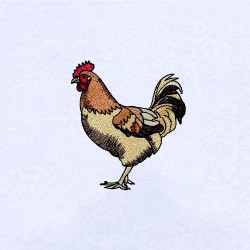 Hen Embroidery Design