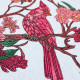 Red Cardinal On Branch - Free in July Value Pack 