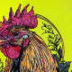 Rooster Art