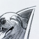 Puppy In The Wind Sketch Art