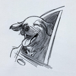 Puppy In The Wind Sketch Art - Free in July Value Pack 