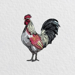 Colorful Rooster