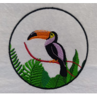 Toucan Bird