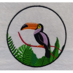 Toucan Bird