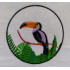 Toucan Bird