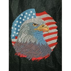 American Bald Eagle