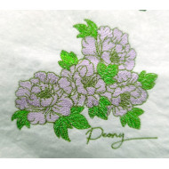 Peony Flowers