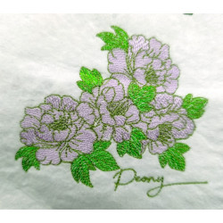 Peony Flowers