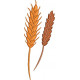 Wheat Embroidery Design Wheat Embroidery Design
