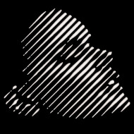 Girl Face Pattern