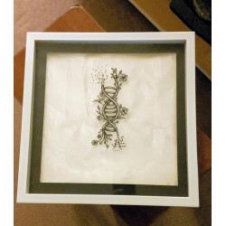 Floral DNA
