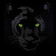 Panther Face