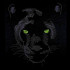 Panther Face