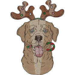 Christmas Dog