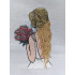Bride With Bouquet