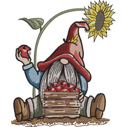 Gnome