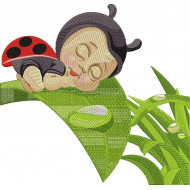 Sleeping Lady Bug