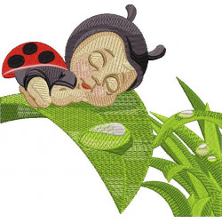 Sleeping Lady Bug
