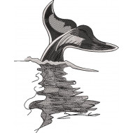 Whale Fish