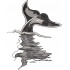 Whale Fish