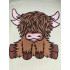 Cute Highland Calf