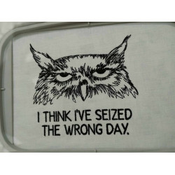 Seized the Wrong Day Grumpy Owl 