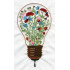 Floral Bulb Without BG