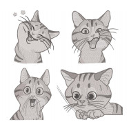 Cat Collection