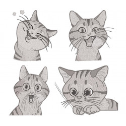 Cat Collection