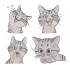 Cat Collection