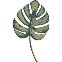 Monstera Leaf