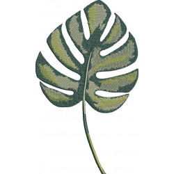 Monstera Leaf