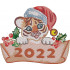 New Years Tiger 2022
