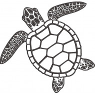 Tortoise