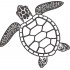 Tortoise