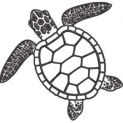 Tortoise