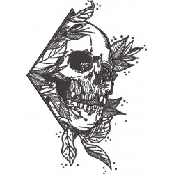 Skull Art