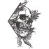 Skull Art